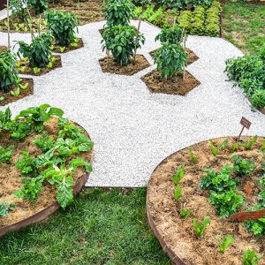 bordure giardino per orto